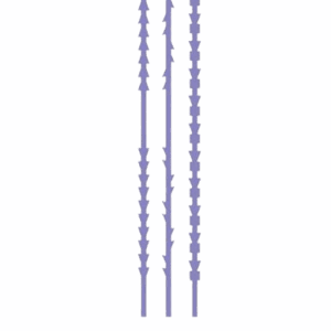 Hilos Double COG 360